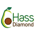 90-Logo Hass Diamond