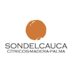 94-Logo SonDelCuaca